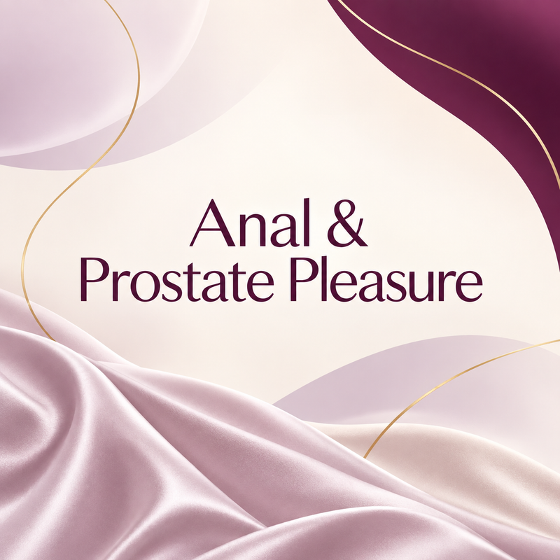 Anal & Prostate Pleasure